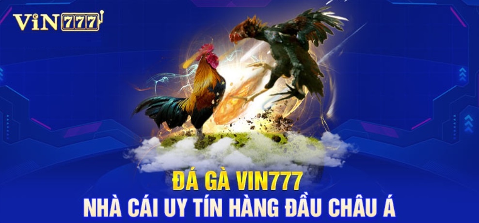 Tổng quan về đá gà Vin777